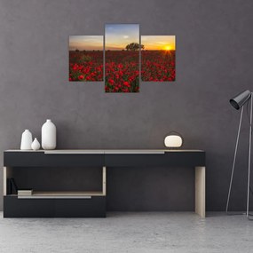 Tablou cu lunca și macii (90x60 cm)