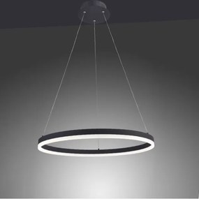 Lustră LED pe cablu dimabilă TITUS LED/38,5W/230V Paul Neuhaus 2382-13