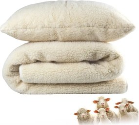 2G Set cu pilotă 135 x 200 cm şi pernă 70 x 90 cm din lână Merino