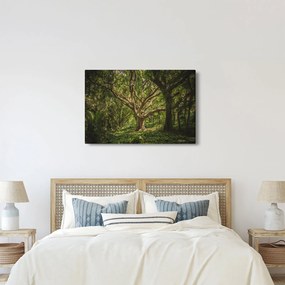 Tablou cu copaci (90x60 cm)