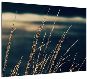 Tablou pe sticlă cu ierburi (70x50 cm)