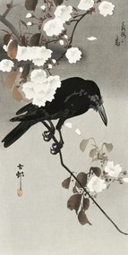 Imprimare de artă Crow And Cherry Blossom, Ohara Koson