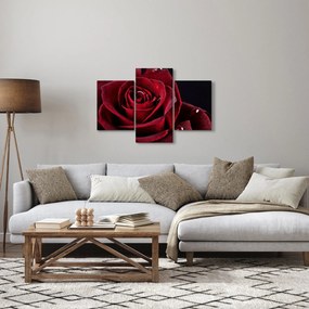 Tablou - Trandafir roșu (90x60 cm)