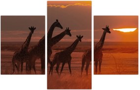 Tablou - Girafe în savana africană (90x60 cm)