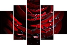 Tablou - Trandafir (150x105 cm)