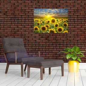 Tablou pe sticlă - Floarea-soarelui la apus de soare (70x50 cm)