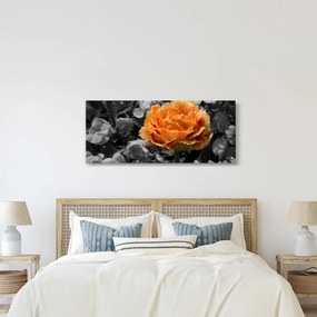 Tablou cu floare (120x50 cm)