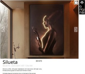 Tablou de perete decorativ cu iluminat Silueta
