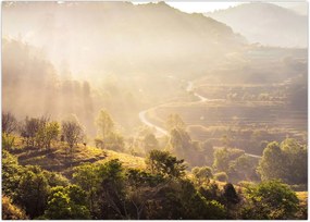 Tablou - Zori de zi (70x50 cm)