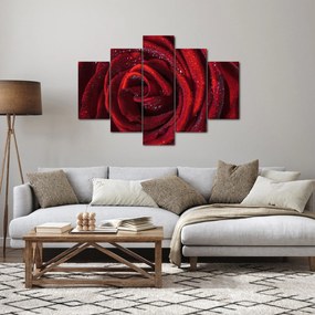Tablou - Trandafir roșu cu picături de rouă (150x105 cm)