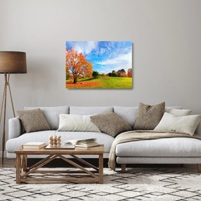 Tablou pe sticlă - Peisaj de toamnă (70x50 cm)