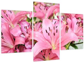 Tablou - Liliac roz (90x60 cm)