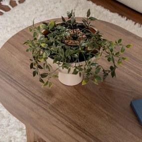 Măsuță de cafea Sable Walnut