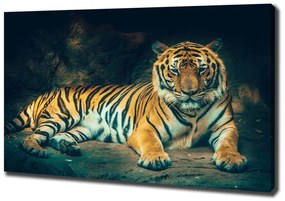 Imprimare tablou canvas Tiger cave