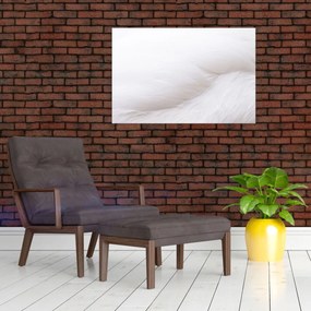 Tablou - Detalii pene (90x60 cm)