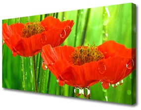 Tablou pe panza canvas Maci Floral Roșu Verde