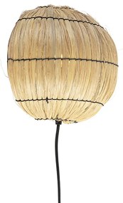 Aplic oriental iarba de mare - Canno