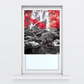 Fotojaluzele R012485R42150 (42x150 cm)