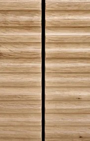 Comodă Mui 1 (Stejar artisan + negru). 1038778