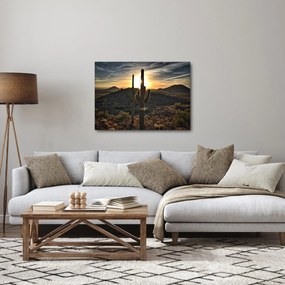 Tablou - cactușii la soare (70x50 cm)