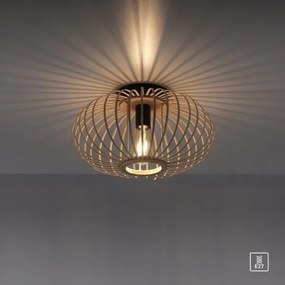 Lustră aplicată RACOON 1xE27/40W/230V d. 40 cm Leuchten Direkt 11410-79