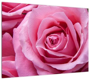 Tablou cu trandafir (70x50 cm), în 40 de alte dimensiuni noi