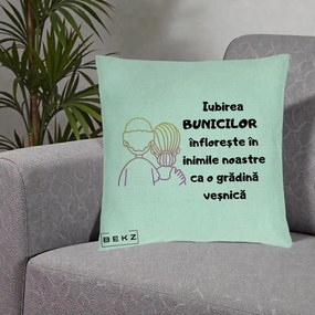 Cadou pentru Bunici - Perna Personalizata Iubirea Bunicilor Infloreste Cuplu Line Art Gradient, 40x40 cm, Verde Menta, Husa Detasabila, Perna Inclusa, BEKZ®