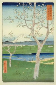 Reproducere Fuji, Ando or Utagawa Hiroshige