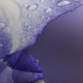 Tablou - Petală cu picături (cu ceas) (90x30 cm)