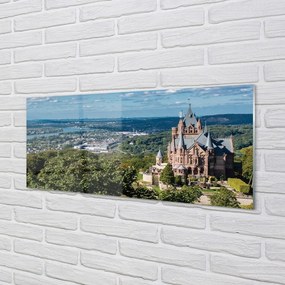 Tablouri pe sticlă Germania Panorama a castelului orașului