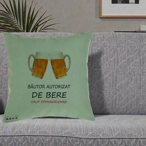 Perna Decorativa Bautor Autorizat de Bere, 40x40 cm, Verde, Husa Detasabila, Perna Inclusa, BEKZ®