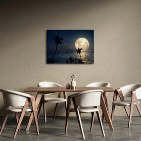 Tablou - Plaja cu lună plină (70x50 cm)