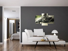 Tablou cu pisicuța (90x60 cm)