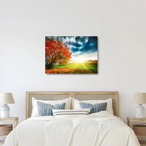 Tablou pe sticlă peisaj cu scufundat în razele solare (70x50 cm)