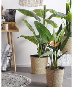 Plantă artificială 115 cm SARIZA. 1022772