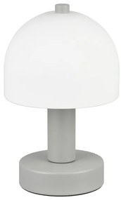 Veioză gri cu abajur din sticlă (înălțime 19 cm) Glenn – Trio