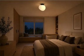 BRILAGI - Plafonieră PEBBLES 1xE27/40W/230V Ø 20 cm neagră