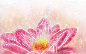 Tablou - Floare de lotus (90x60 cm)