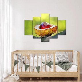 Tablou cu castani (150x105 cm)