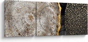 Tablou - Trunchiul copacului colaj 2 (cu ceas) (90x30 cm)