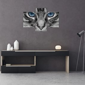 Tablou cu pisica (90x60 cm)
