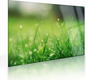 Tablou pe sticlă - roua pe iarbă (70x50 cm)