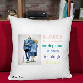 Cadou pentru Bunici - Perna Personalizata Bunicii Sursa Intelepciune Caldura Acuarela, 40x40 cm, Alb Pufos, Husa Detasabila, Perna Inclusa, BEKZ®