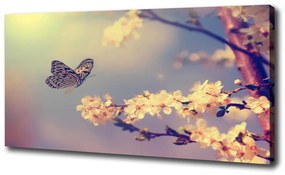 Tablou pe pânză Floare de cireș și fluture