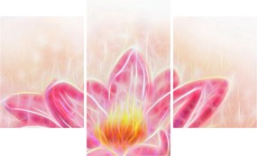 Tablou - Floare de lotus (90x60 cm)