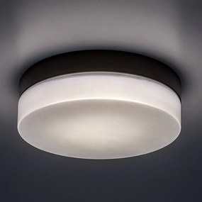 Plafoniera LED pentru baie IP44 Gaelo 23,5cm