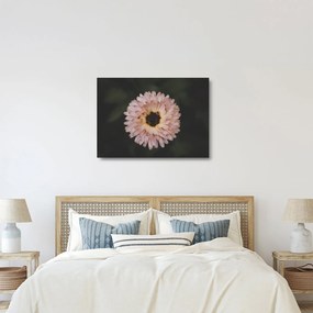 Tablou pe sticlă cu floare portocalie (70x50 cm)
