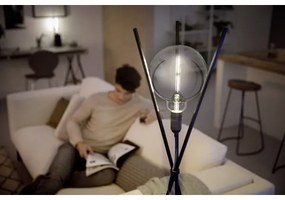 Bec dimmabil LED SMOKY VINTAGE Philips G200 E27/6,5W/230V 4000K