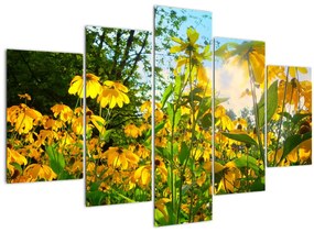 Tablou - Flori galbene (150x105 cm)