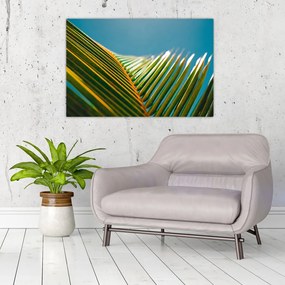 Tablou - Frunze de palmier (90x60 cm)
